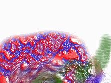 doodle1x3.jpg