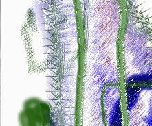 doodle2x1.jpg